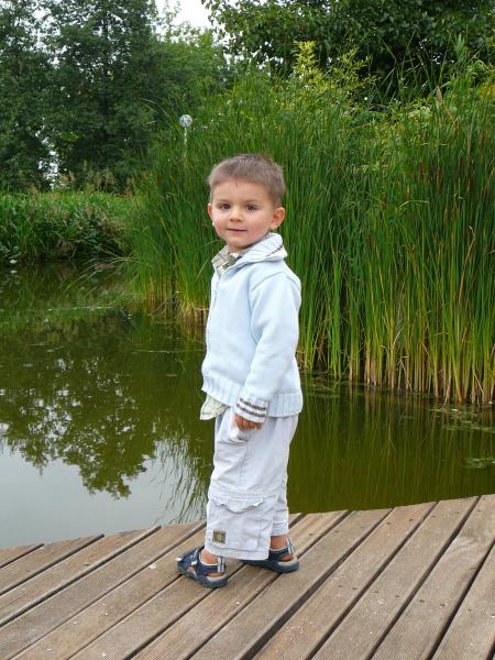 A la recherche des canards dans le parc