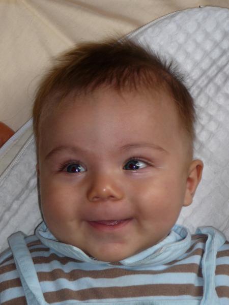 Toujours souriant le Melvinus cracus