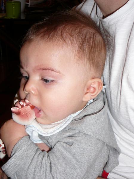 La girafe n'est pas mal non plus